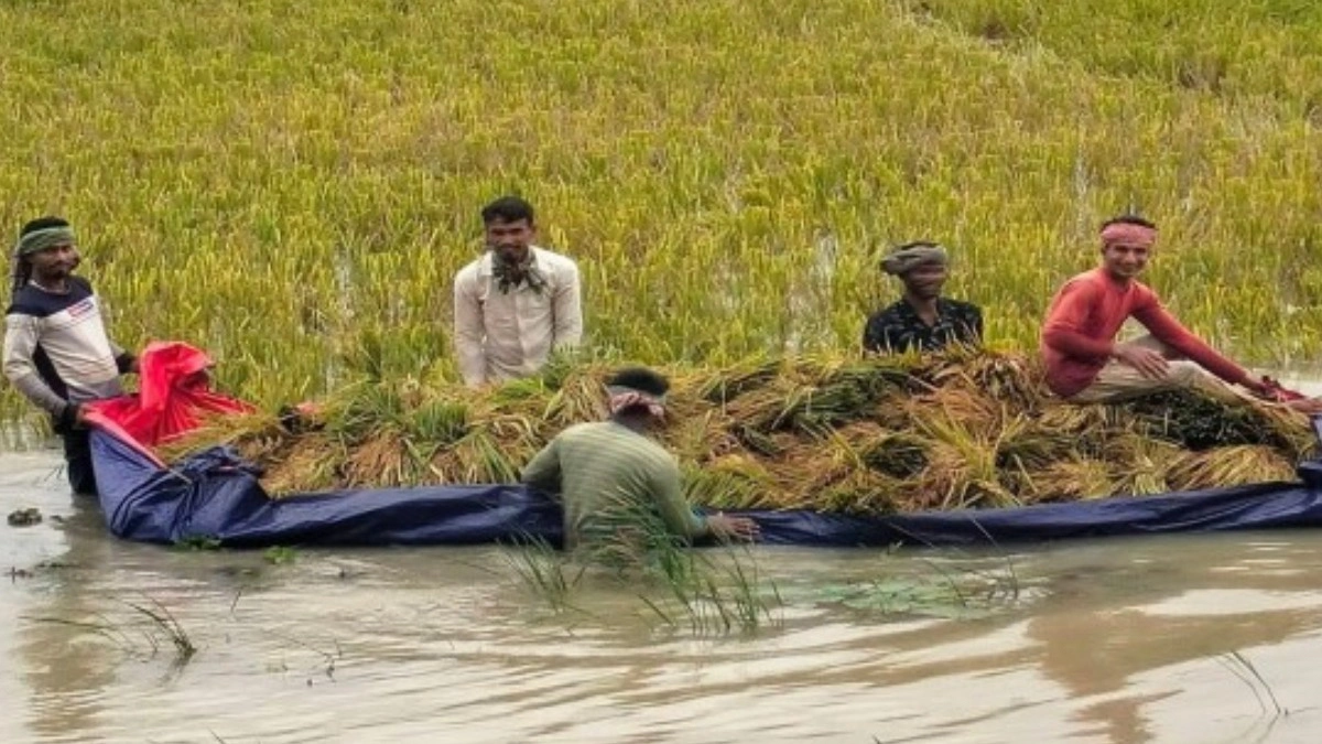 হাওরে ক্ষতিগ্রস্ত কৃষকরা পাবে ৭ হাজার করে টাকা