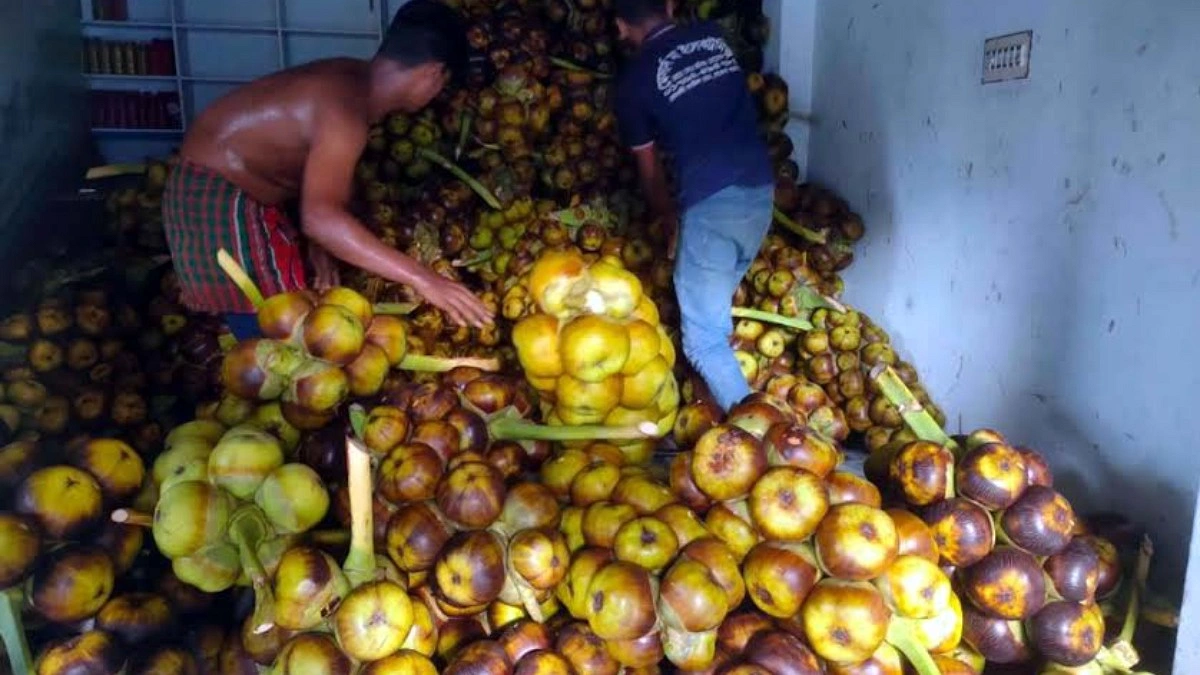 এক মাসে তালের শাঁসে কোটি টাকার বাণিজ্য