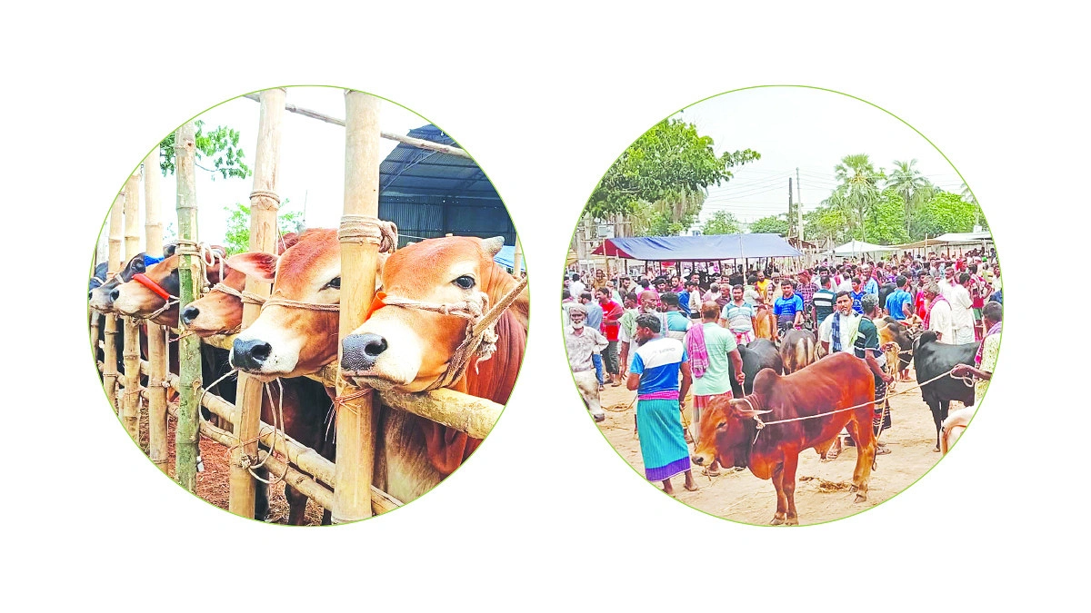 খাদ্যে বেগ খামারিদের উদ্বেগ