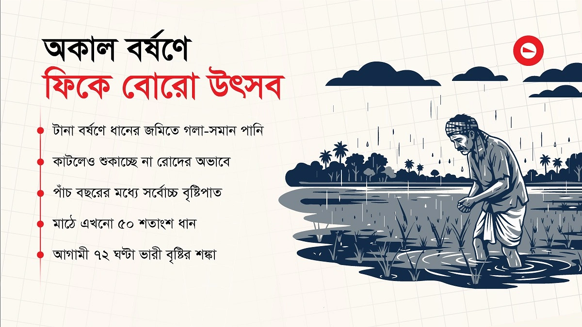 ধান নয়, পচছে কৃষকের স্বপ্ন