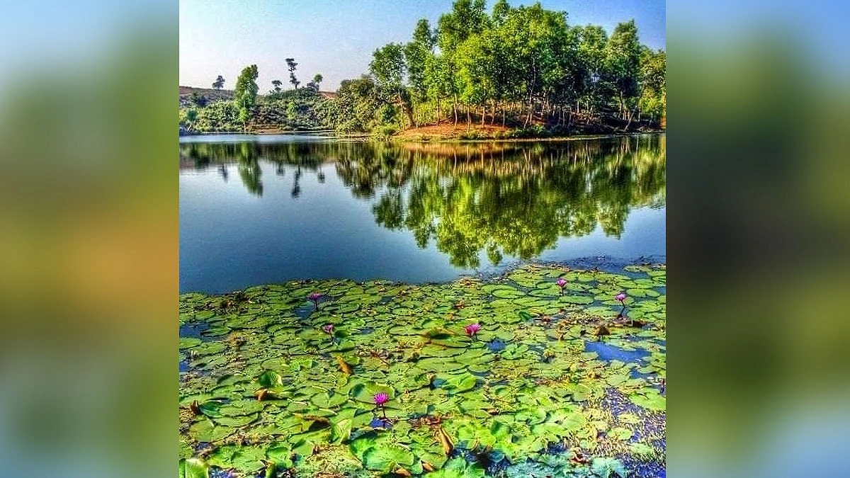 পাহাড়ি নীরবতায় নীলপদ্মের হাতছানি