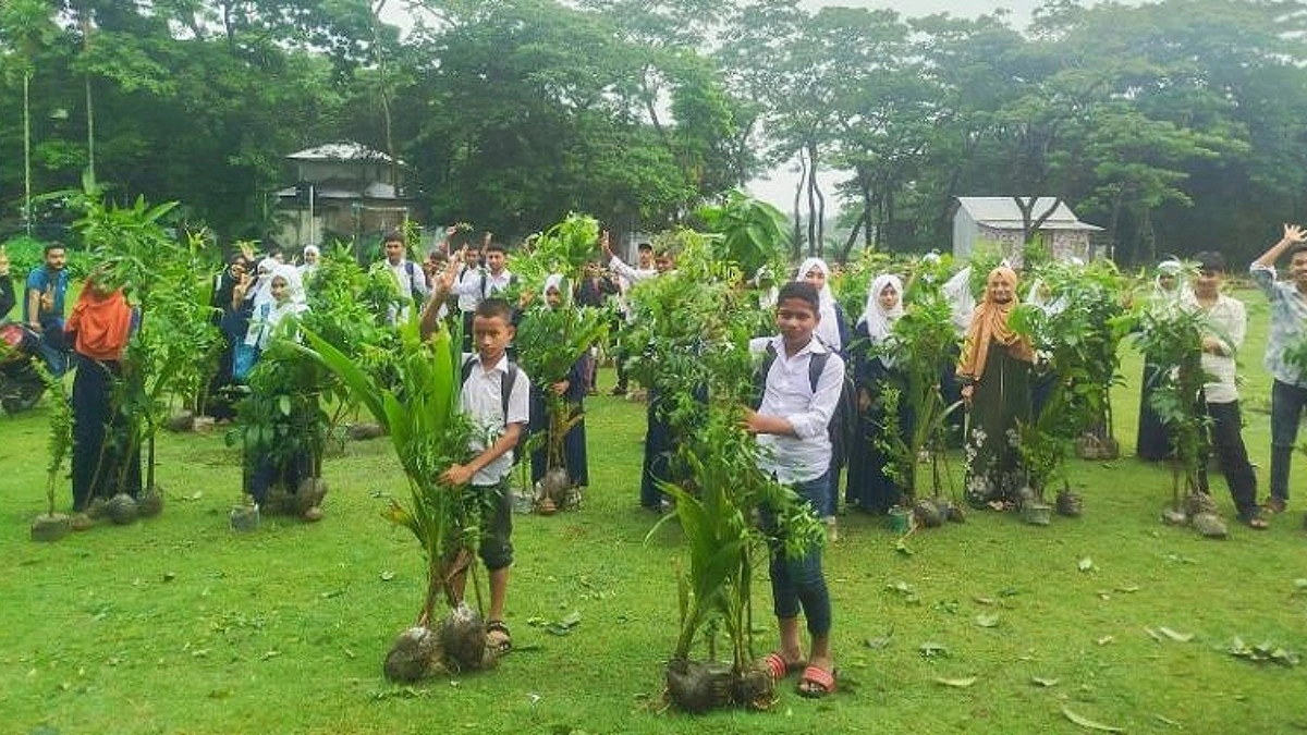 উপকূল রক্ষায় চরফ্যাশনে বিনামূল্যে গাছের চারা বিতরণ