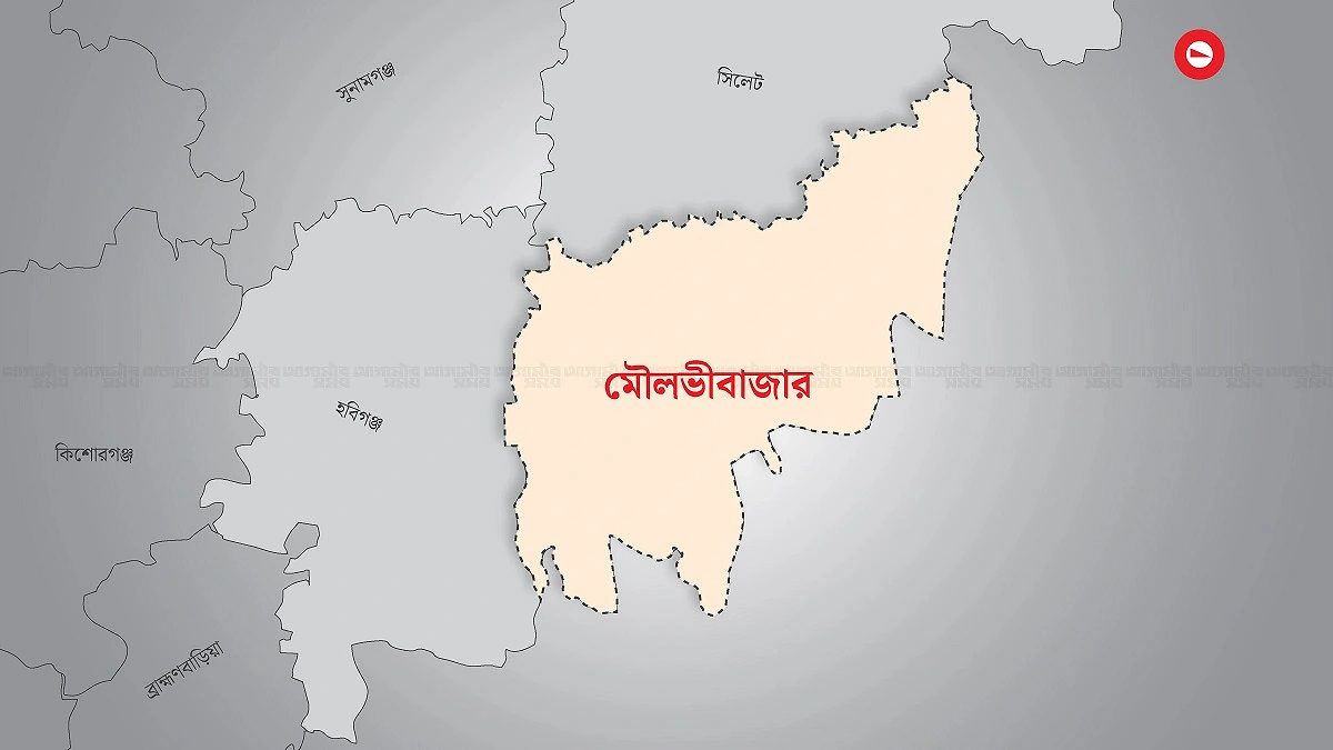 চাওয়া শুধু একটি হিমাগার