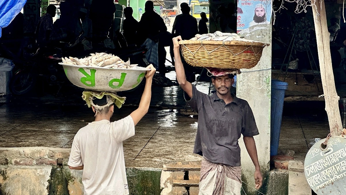 কোথায় গেল সাগরের মাছ?