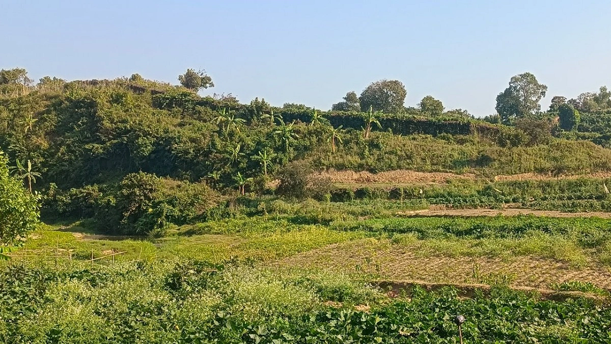 এবার মিয়ানমার থেকে থানচি সীমান্ত পথে ৪৭ খুমির অনুপ্রবেশ
