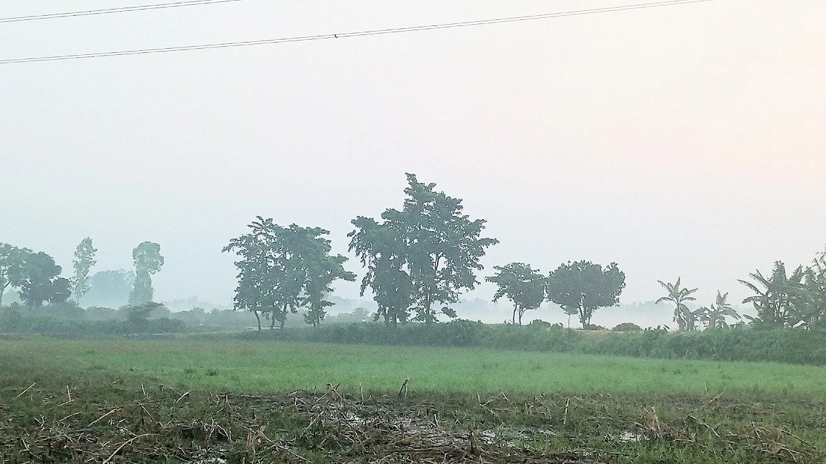 গরমের মাঝেই দিনাজপুরে ঘন কুয়াশা