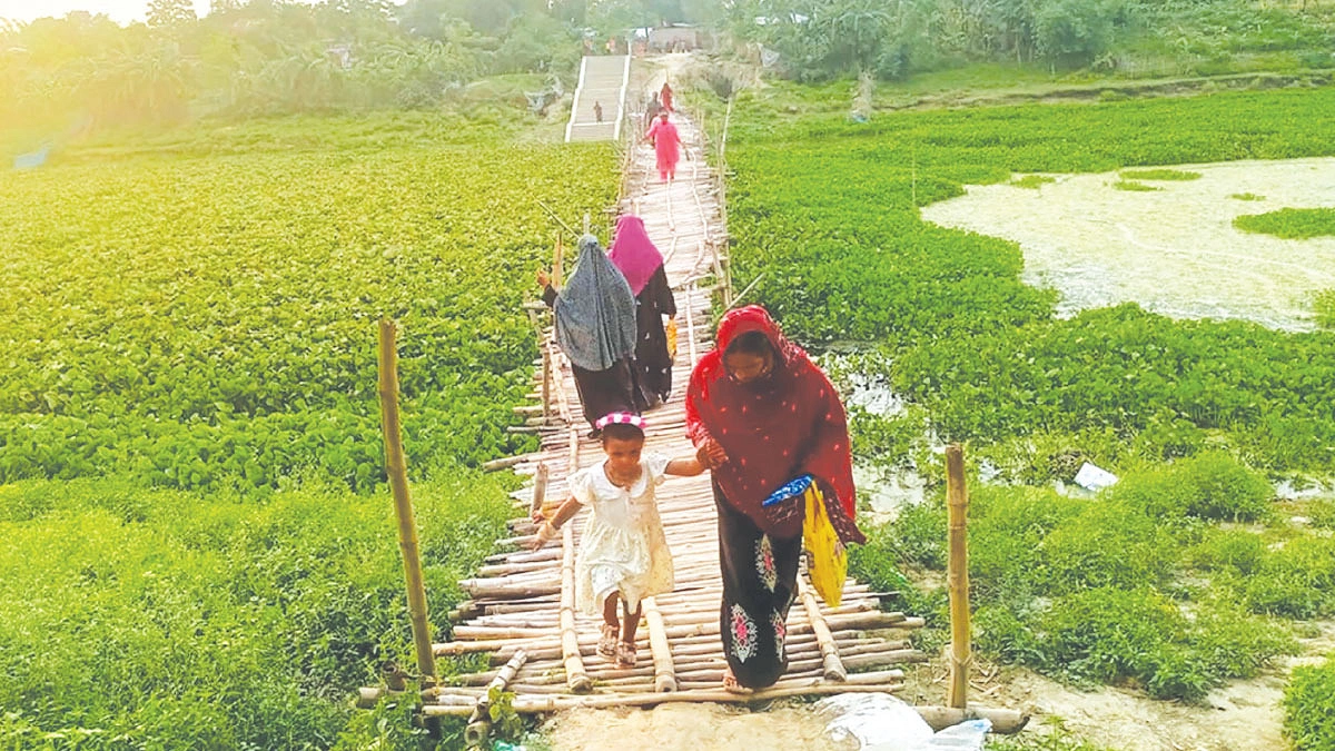 সেতু নেই তাই সাঁকো