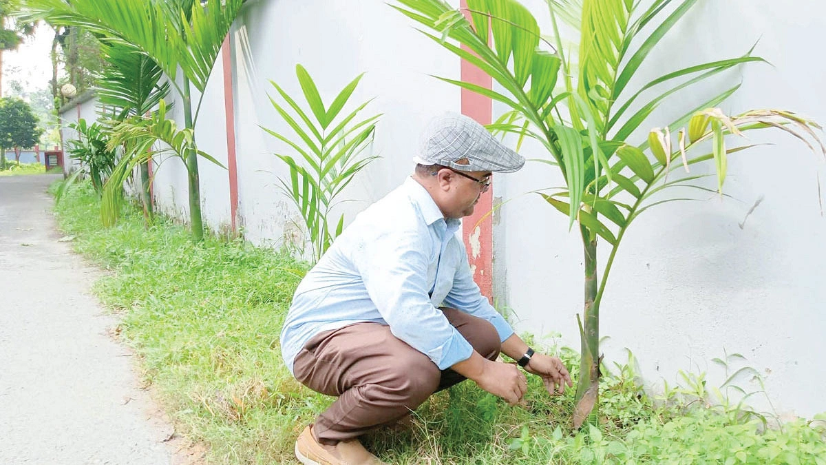 নুরুল ইসলাম লাগিয়েছেন লক্ষাধিক গাছ