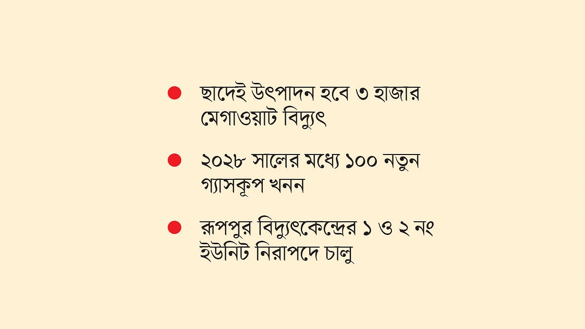 জ্বালানি নিরাপত্তায় বড় সংস্কার