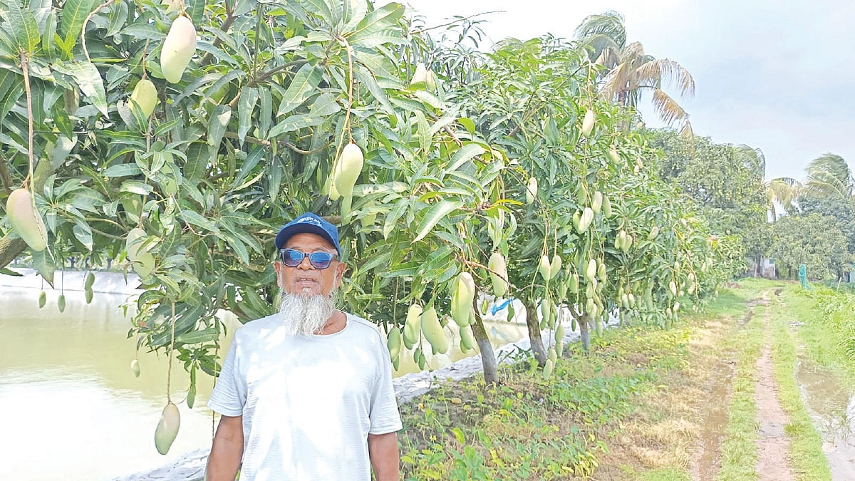 সোলায়মানের বাগানে  ১০২ জাতের  আম