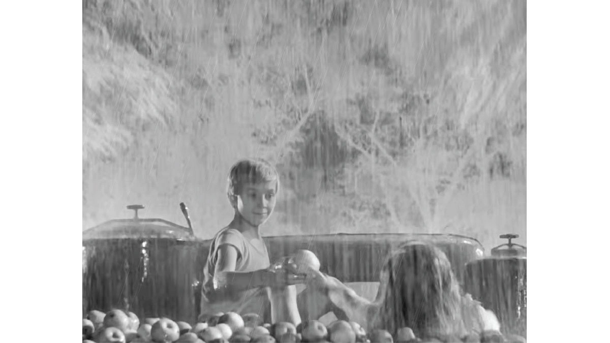 তারকোভস্কি বনাম বেলা তার