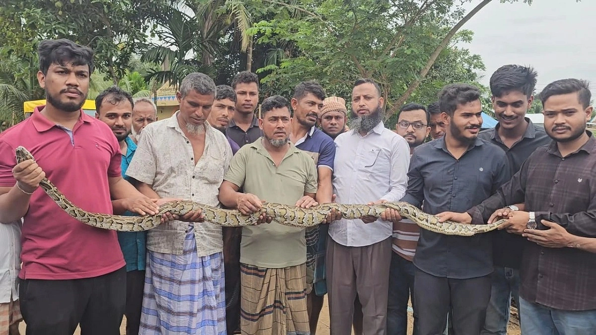 খাগড়াছড়িতে জেলের জালে আটকা পড়ল ৮ ফুটের অজগর