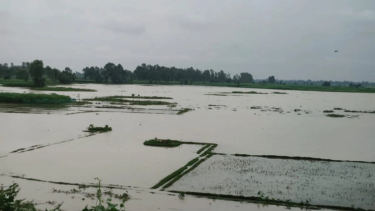 হু হু করে বাড়ছে দুধকুমার নদের পানি