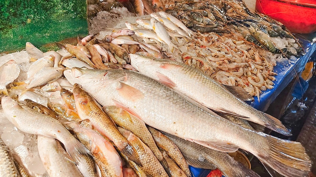 চকরিয়ার চোয়ার ফাঁড়ির মাছে এত স্বাদ!
