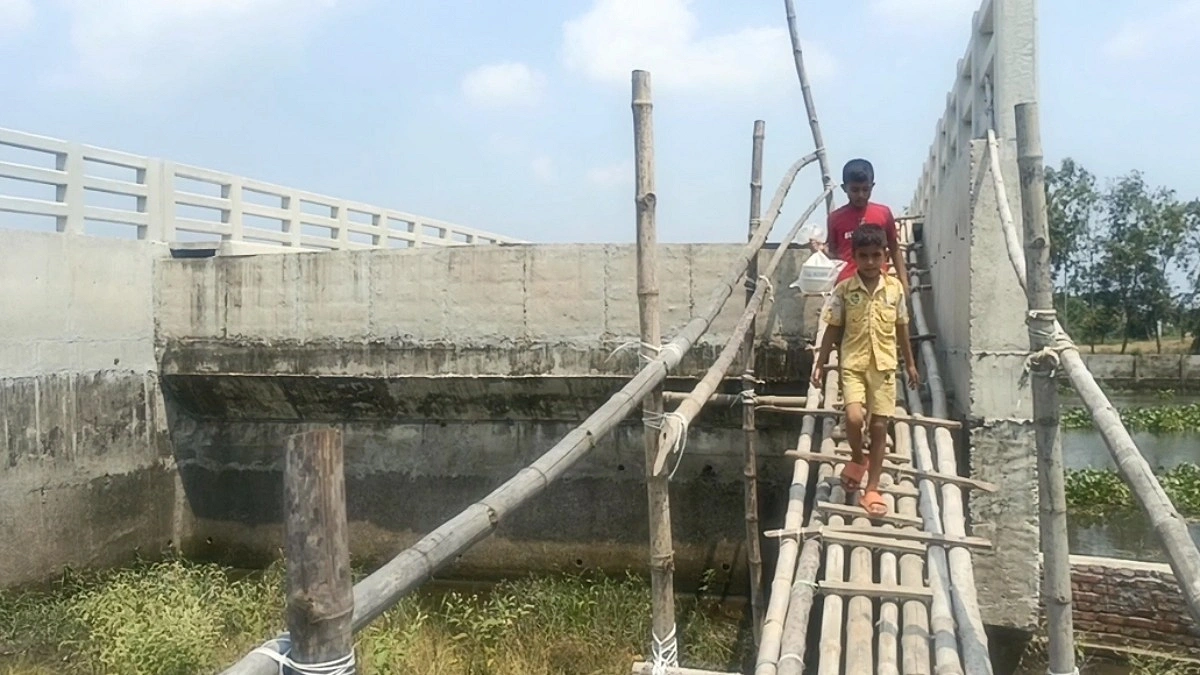 বাঁশের সাঁকো বেয়ে সেতুতে!