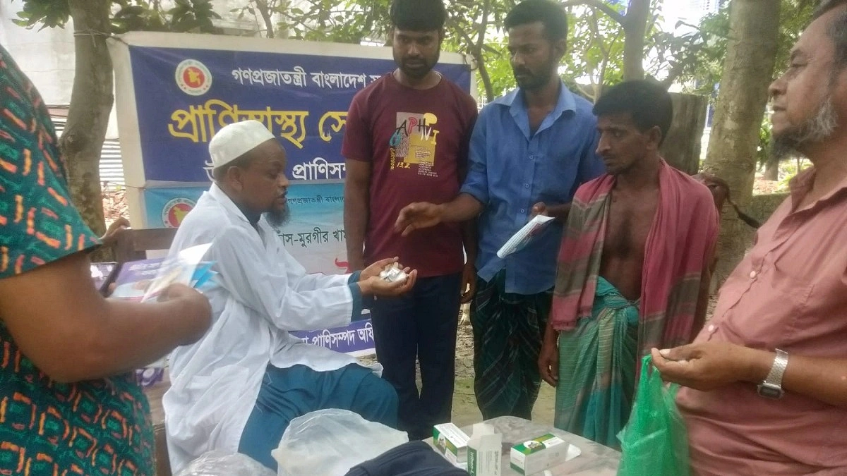 তিতাসে বিনামূল্যে প্রাণী স্বাস্থ্যসেবা ক্যাম্প ও উঠান বৈঠক অনুষ্ঠিত