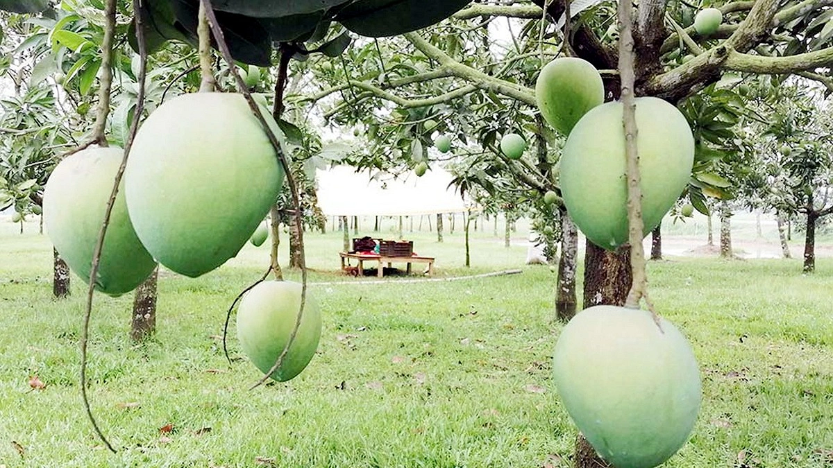 হাঁড়িভাঙার হাঁড়ির খবর