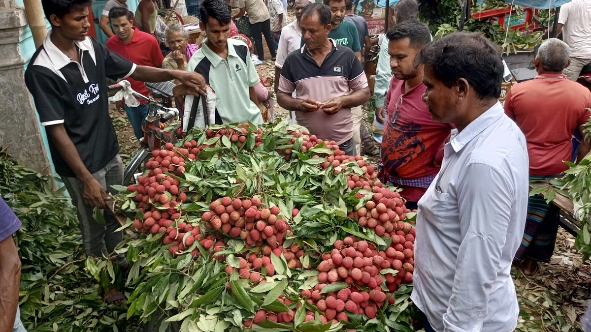 লিচু বাজারে চলছে দরদাম