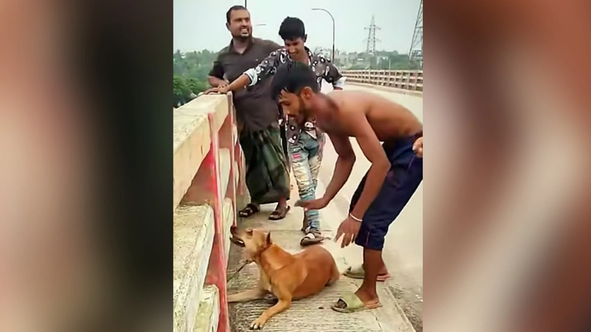 কুকুরের গলায় ইট বেঁধে নদীতে নিক্ষেপ, আরও দুজন গ্রেপ্তার