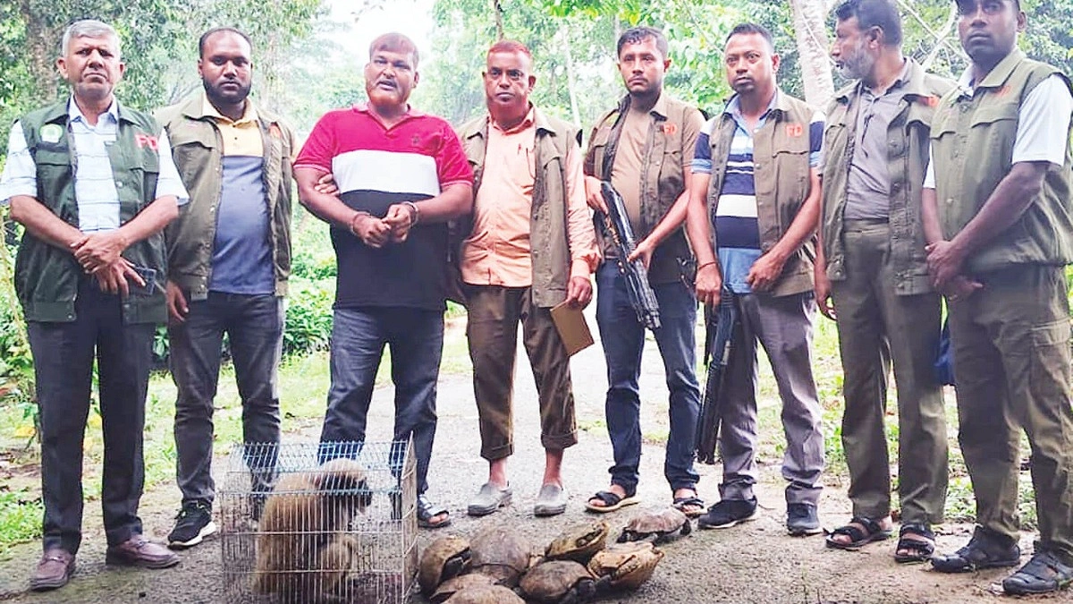 চকরিয়ায় মুখপোড়া হনুমান ও ১২ কচ্ছপ উদ্ধার