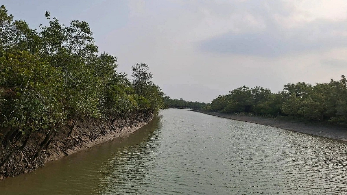 মুক্তিপণ দিয়ে ১১ দিন পর ফিরলেন সেই চার জেলে