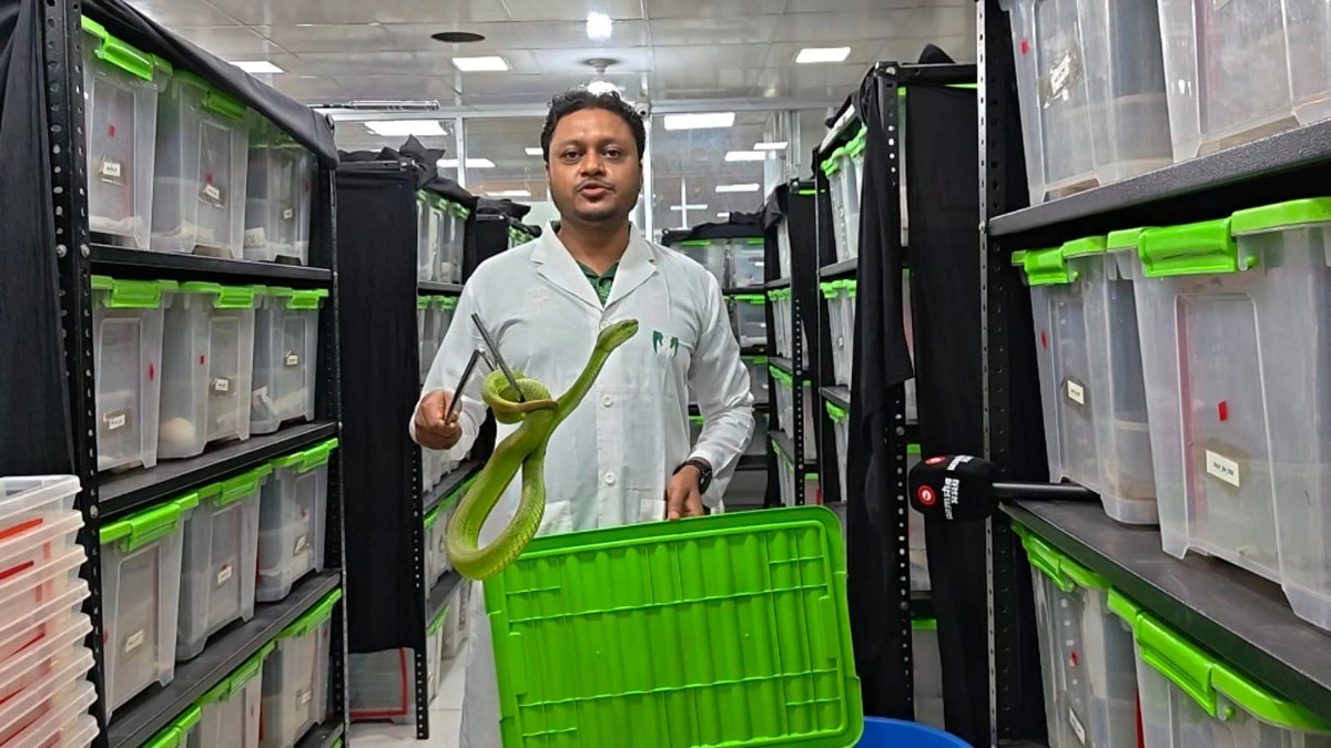 চমেকে সাপের রাজ্য : বিষ থেকে প্রতিষেধকের সাফল্য