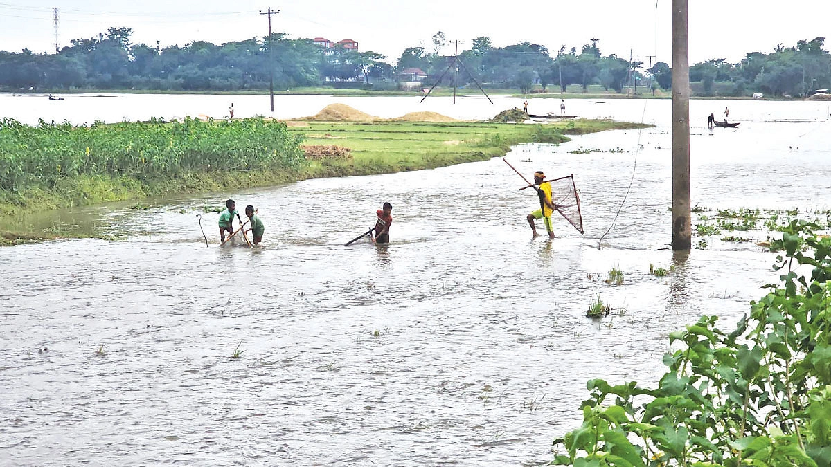 নিষেধাজ্ঞার জালে হাওরের জেলেরা