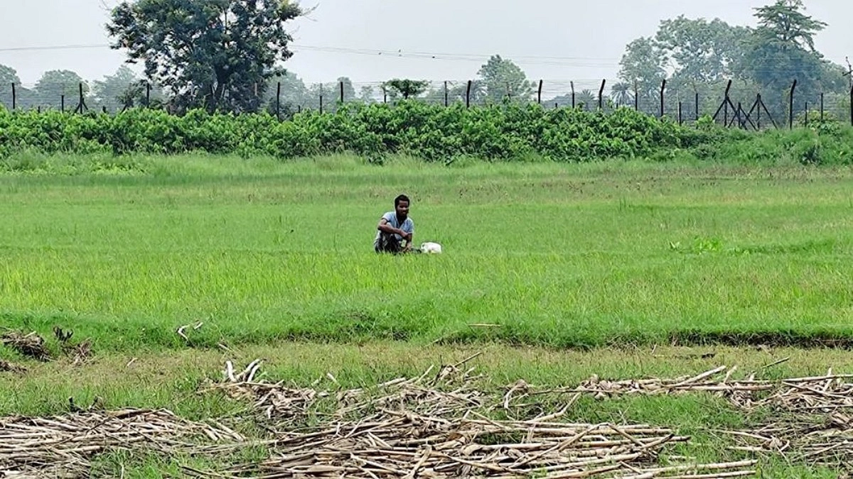 সীমান্তে পুশইনের চেষ্টা, বিজিবির বাধায় শূন্যরেখায় যুবক