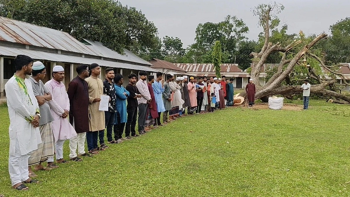 চার যুগের রেইনট্রি গাছ কাটলেন শিক্ষকরা, সাবেক শিক্ষার্থীদের প্রতিবাদ