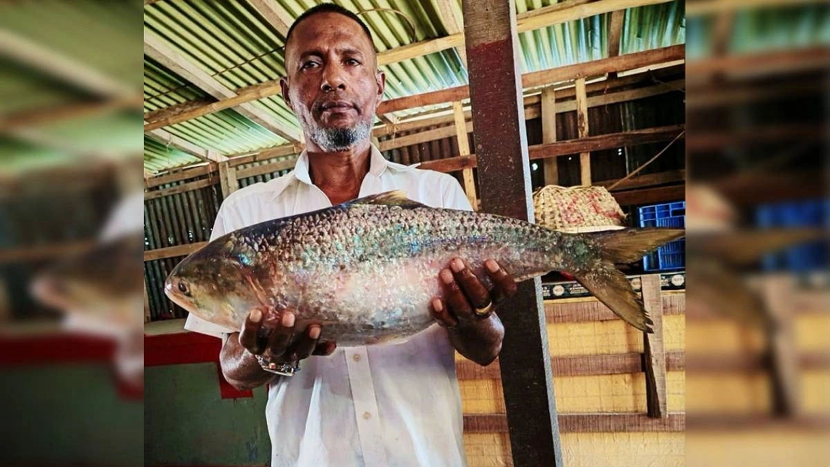 মেঘনায় ধরা পড়ল আড়াই কেজির ইলিশ
