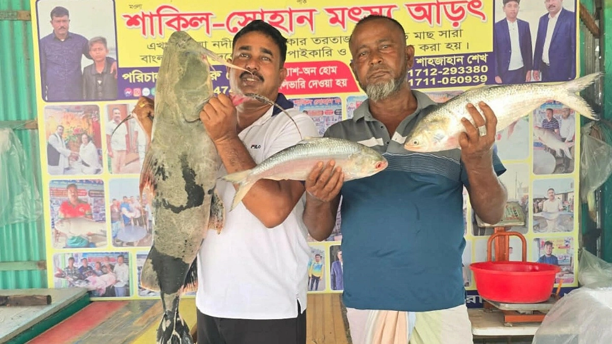 এক বাঘাইড় ৩৮, ছয় ইলিশ বিক্রি ৪৭ হাজারে