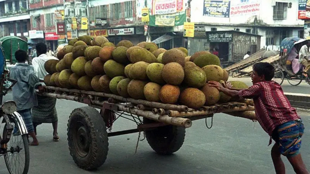 চীন কেন বাংলাদেশ থেকে কাঁঠাল নিতে চায়?