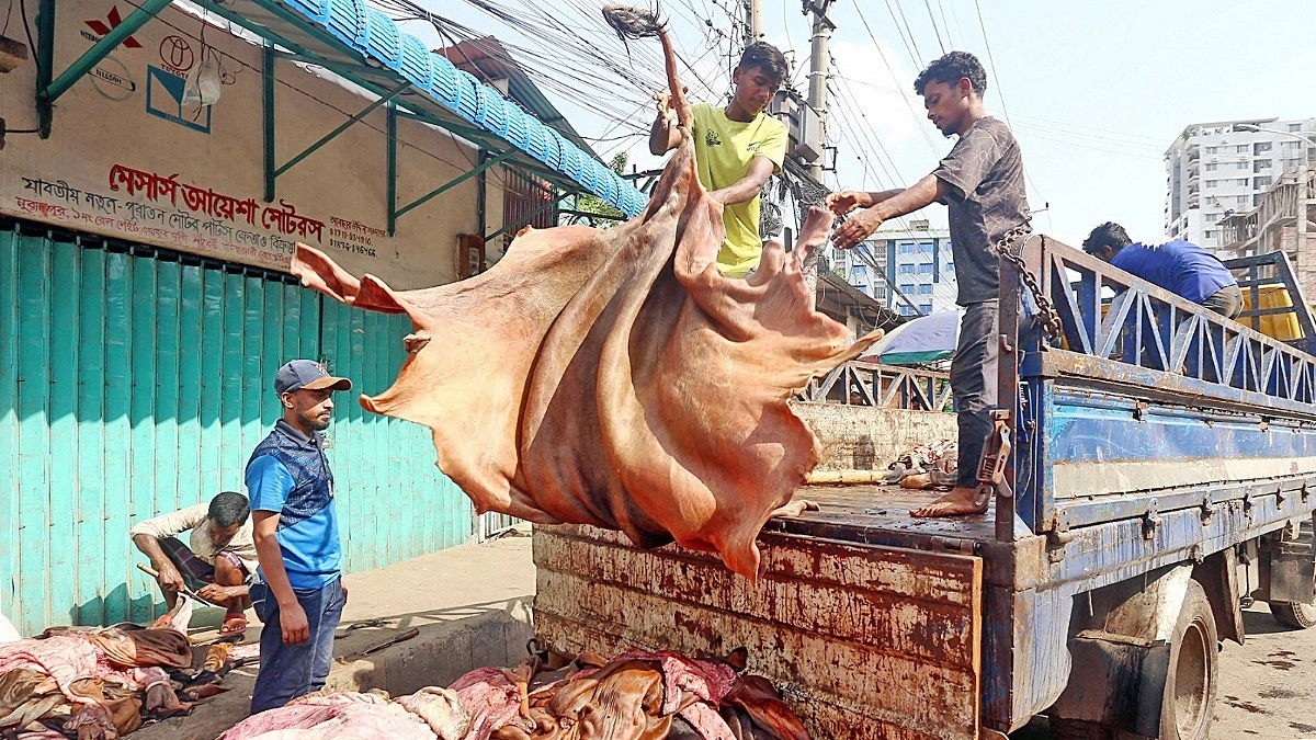 ৪ লাখ ১১ হাজার চামড়া সংগ্রহ চট্টগ্রামে