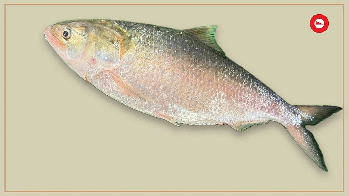কাগজে বাড়ছে নদীতে কম