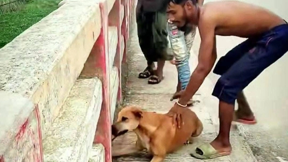 কুকুরের গলায় ইট বেঁধে নদীতে ফেলা যুবক আটক