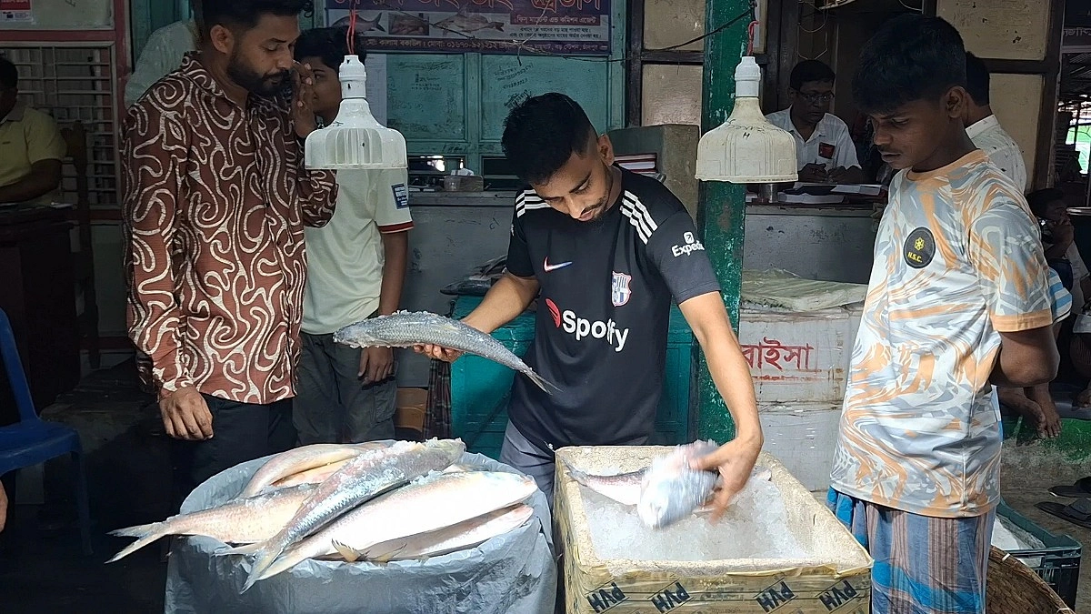 এক মাসে কেজিতে ৫০০ টাকা কমল ইলিশের দাম