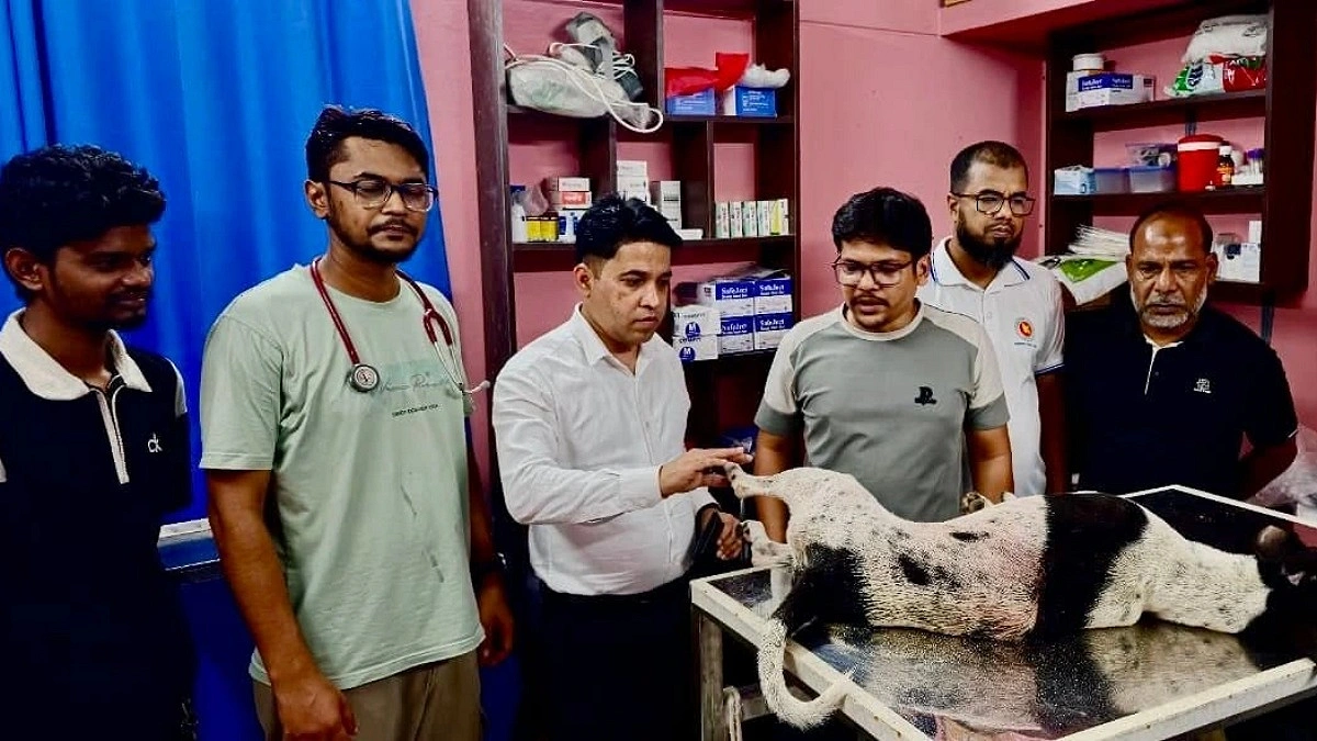 বগুড়ায় পথ কুকুরকে কুপিয়ে জখম, অভিযুক্ত গ্রেপ্তার
