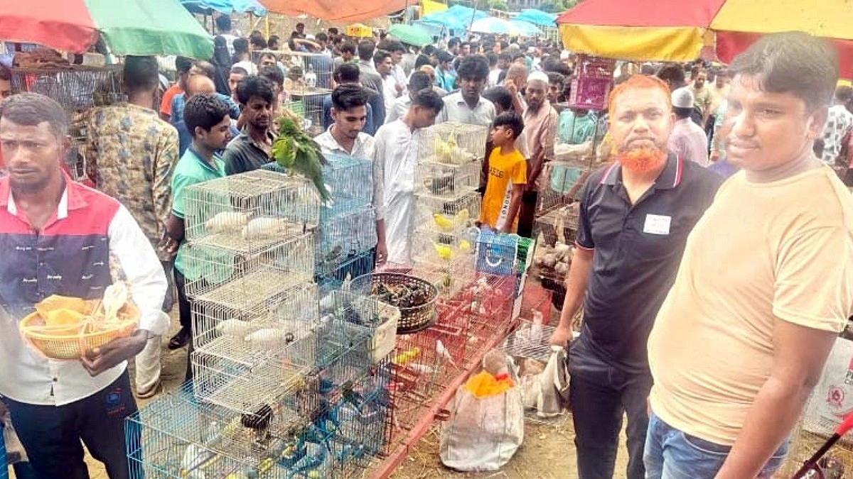 ফতুল্লায় উদ্ধারের পর ১৭ বন্যপাখি অবমুক্ত
