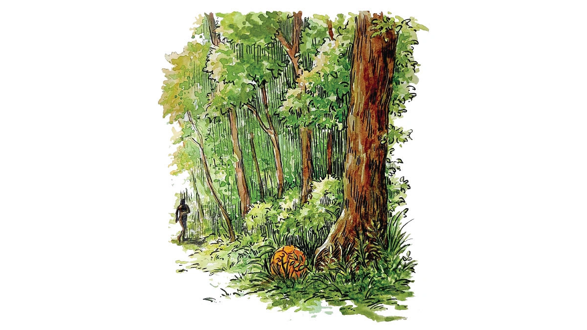 গোল্ডেন বল