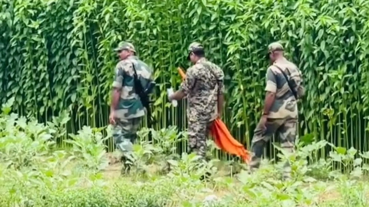 গাংনী সীমান্তে রাস্তার কাজে বিএসএফের বাধা দেওয়ার অভিযোগ