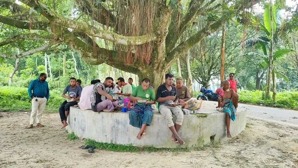 গাছের ছায়ায় কৃষকের শান্ত দুপুর