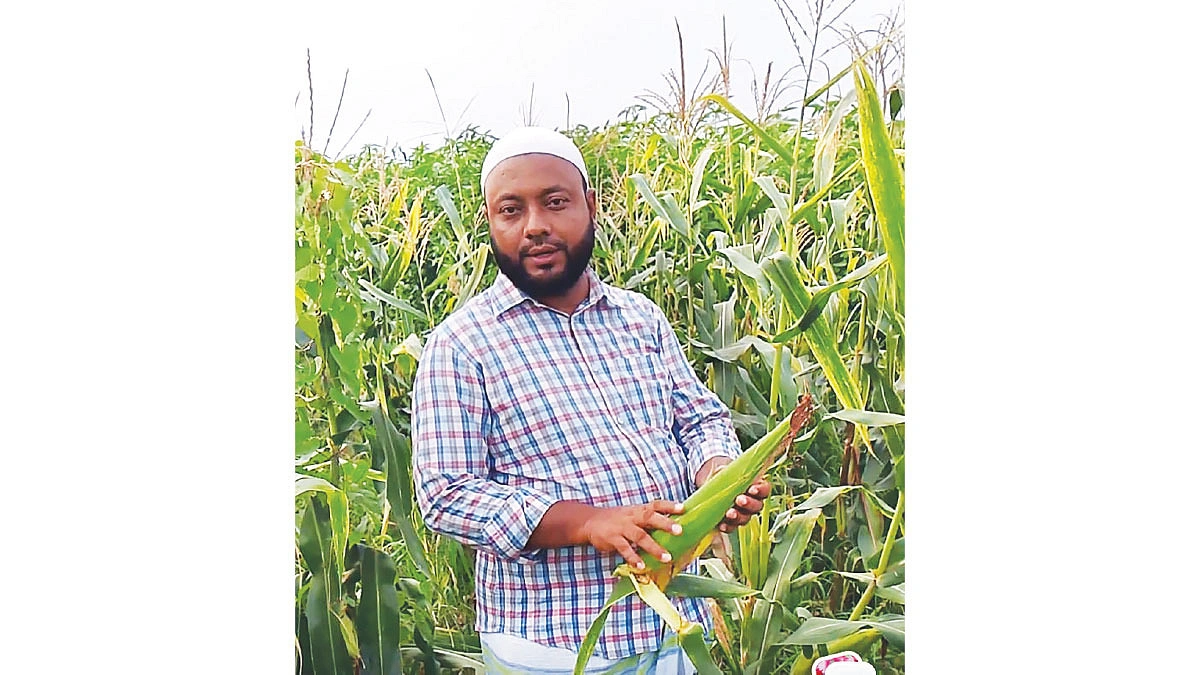 কৃষক যেন ফসলের ন্যায্যমূল্য পান