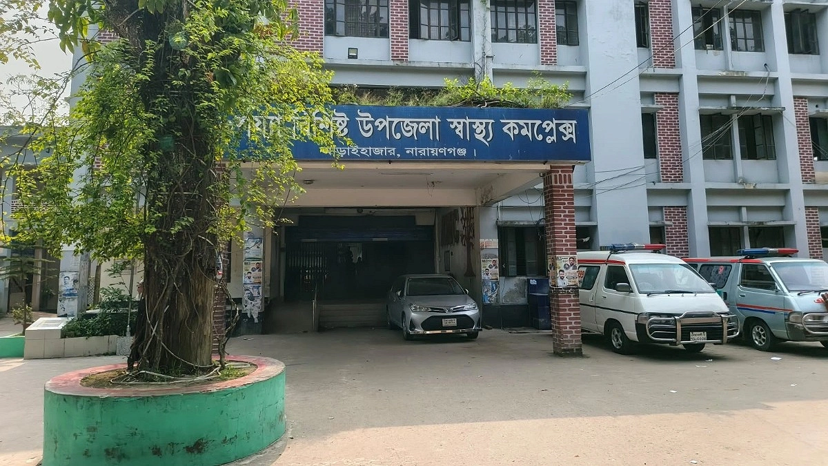 নানার বাড়িতে বেড়াতে গিয়ে দুই ভাইয়ের মৃত্যু