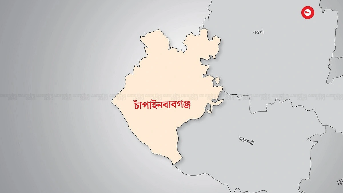 চাঁপাইনবাবগঞ্জ সীমান্তে ২০ জনকে পুশইনের চেষ্টা বিএসএফের, ঠেকাল বিজিবি