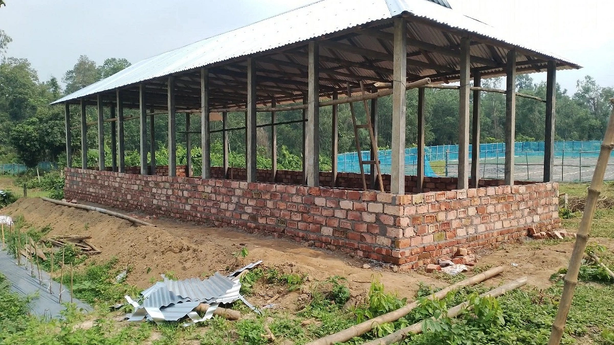 ঝিনাইগাতীর গারো পাহাড়ে সরকারি বনভূমি দখলের অভিযোগ