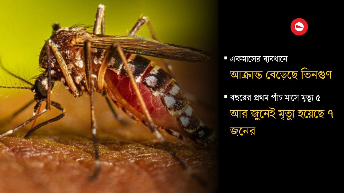 ডেঙ্গু সংক্রমণ ঊর্ধ্বমুখী, বাড়ছে মৃত্যু
