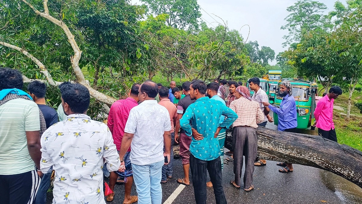 মহাসড়কে গাছ, দুর্ভোগে যাত্রীরা