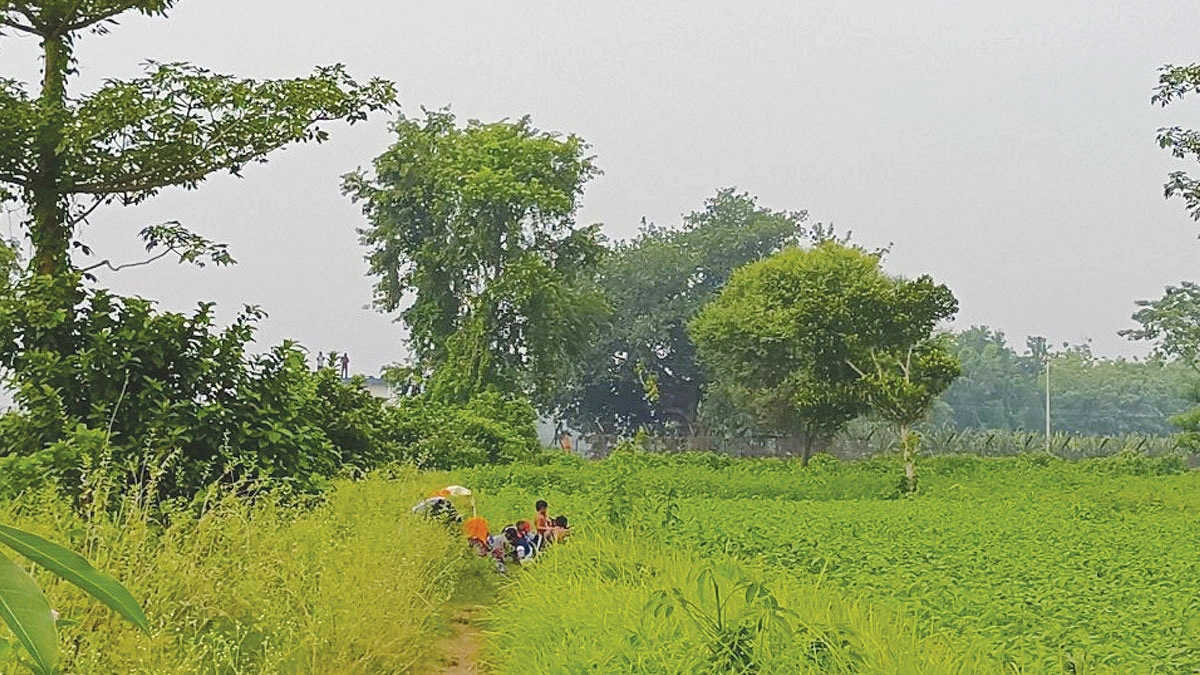 কুষ্টিয়ার শূন্যরেখায় ১২ জনের তিন দিনের অপেক্ষা