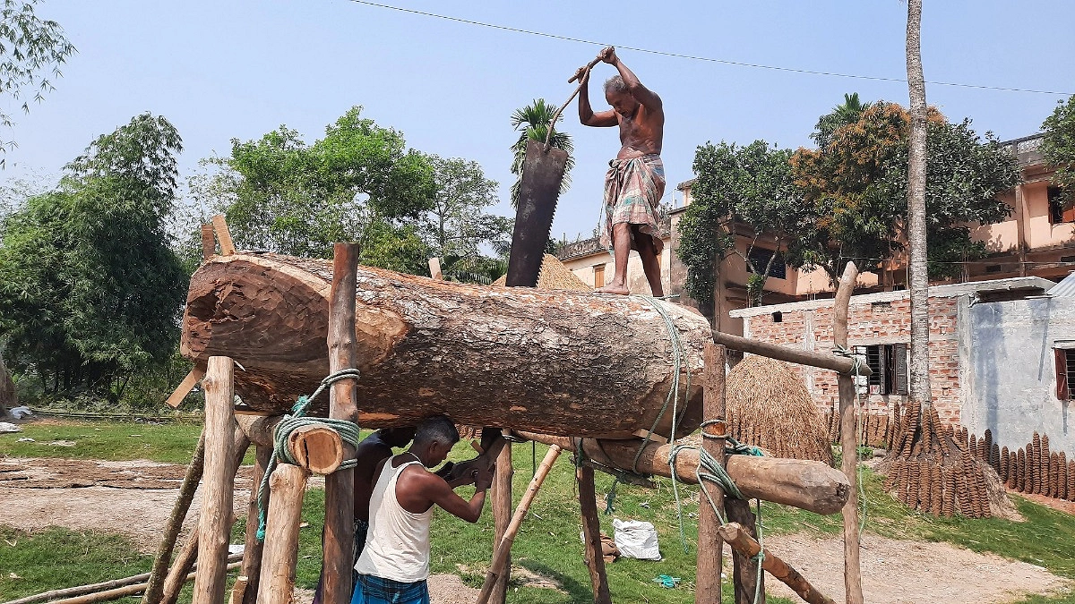 বানিয়াচংয়ে এখনো টিকে আছে বিলুপ্তপ্রায় করাতি পেশা