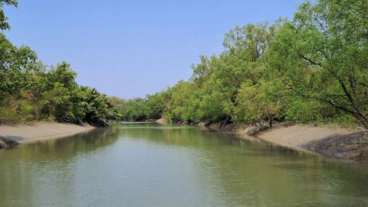 পূর্ব সুন্দরবনে ১৫০ শিকারির তালিকা গোয়েন্দা সংস্থায়